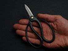 Load image into Gallery viewer, TOYAMA HAMONO OKUBO STAINLESS STEEL MINI SCISSORS WITH CASE