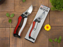 Load image into Gallery viewer, OKATSUNE SECATEURS 200MM / SENTEI BASAMI