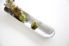 Load image into Gallery viewer, EAtoCO OROS GRATER LARGE SIZE