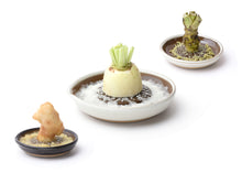 Load image into Gallery viewer, MUJUN SURI PLATE MOTOSHIGE JAPANESE WHITE GRATER (2SIZES)