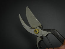 Load image into Gallery viewer, SHIBU-YD SECATEURS 200MM**
