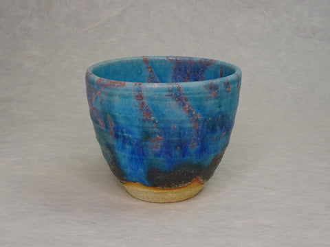 SHIGARAKIYAKI HECHIMON TSUYUKUSA TEACUP