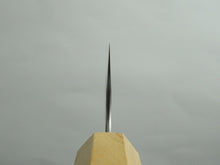 Load image into Gallery viewer, KICHIJI SG2 ARARE SANTOKU 165MM OCTAGONAL OLIVE MONO HANDLE*
