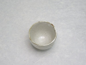 SHIGARAKIYAKI HECHIMON UZURA TEA CUP