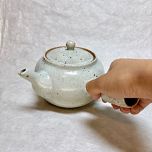 Load image into Gallery viewer, SHIGARAKIYAKI HECHIMON SHIRO-GOMA TEAPOT
