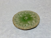 Load image into Gallery viewer, SHIGARAKIYAKI HECHIMON LOTUS LEAF SHAPED SMALL PLATE
