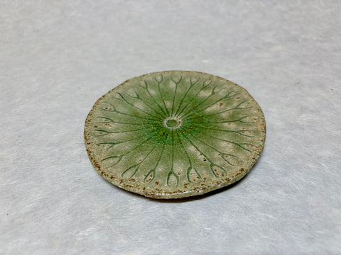 SHIGARAKIYAKI HECHIMON LOTUS LEAF SHAPED SMALL PLATE