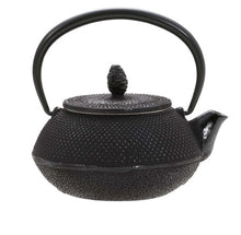 Load image into Gallery viewer, ARARE NAMBU TETSUBIN  / NAMBU CAST IRON TEAPOT
