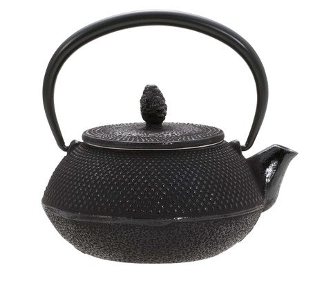 ARARE NAMBU TETSUBIN  / NAMBU CAST IRON TEAPOT