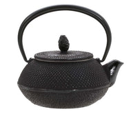 ARARE NAMBU TETSUBIN  / NAMBU CAST IRON TEAPOT